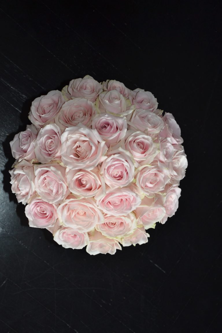 Sweet avalanche roses….