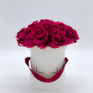 pretty dream rose stabilizzate color prugna