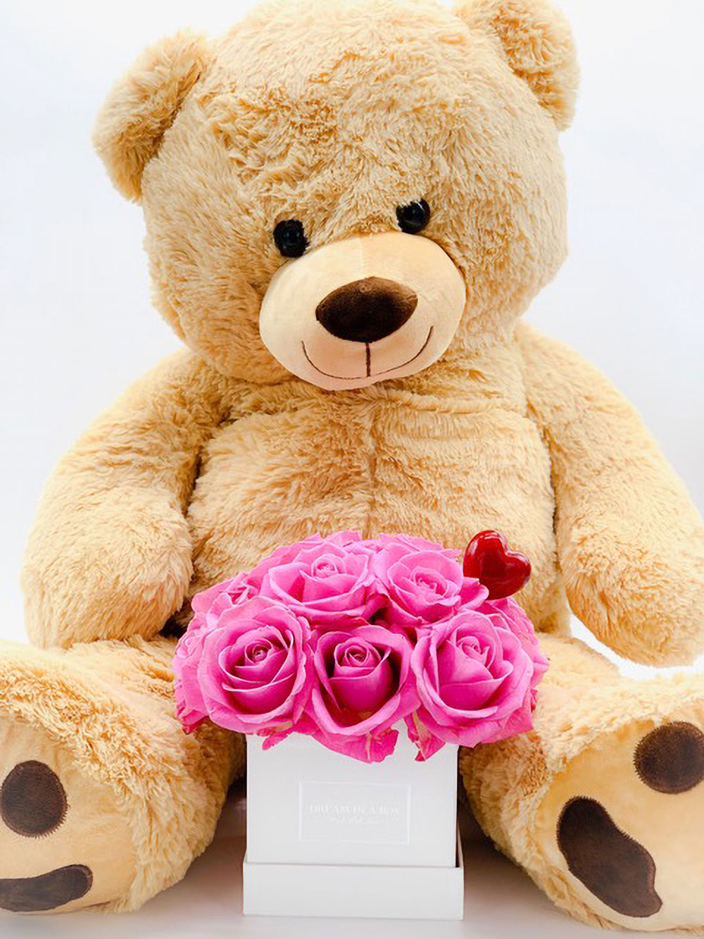 orso con le rose