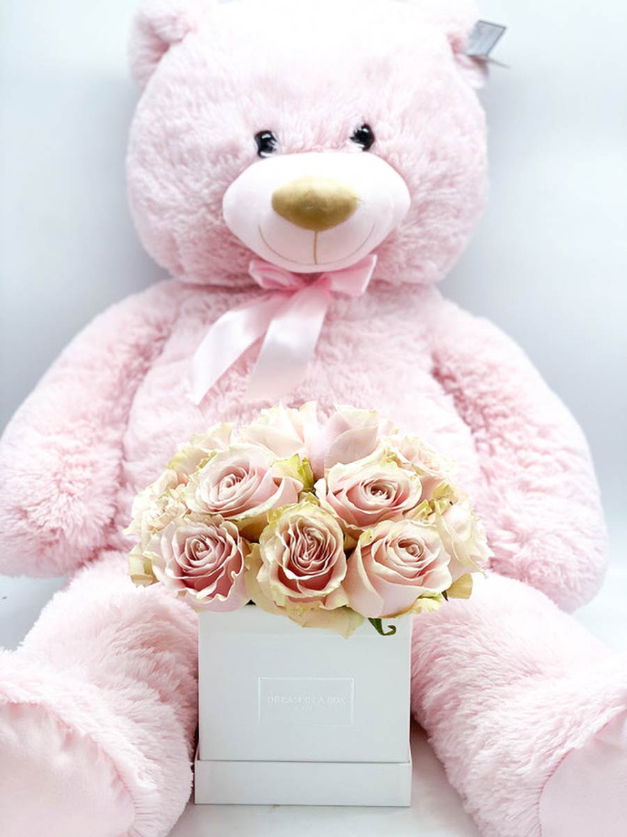 Special Package Square Midi Bianco con Rose Rosa Pallido e Orso Dreaming  Ted Rosa